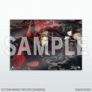 THE CHiRAL NIGHT fall into "Slow Damage" Acrylic Plate